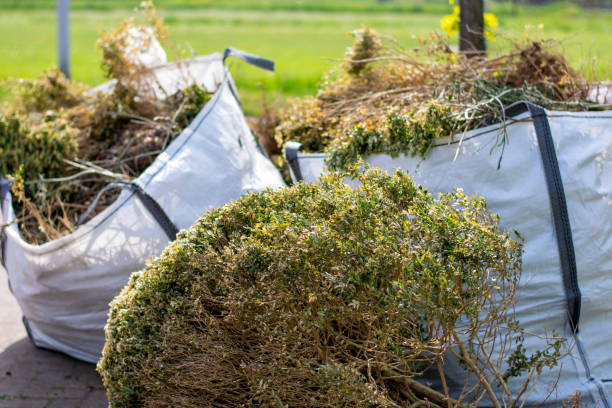Best Junk Hauling Services  in Drexel Hill, PA